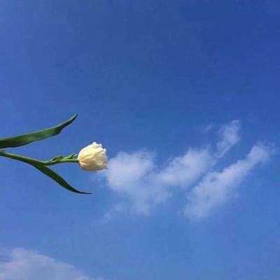 导电滑环厂家_光纤信号滑环厂家_...