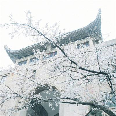 边缘智能加速落地，恩智浦以全栈...